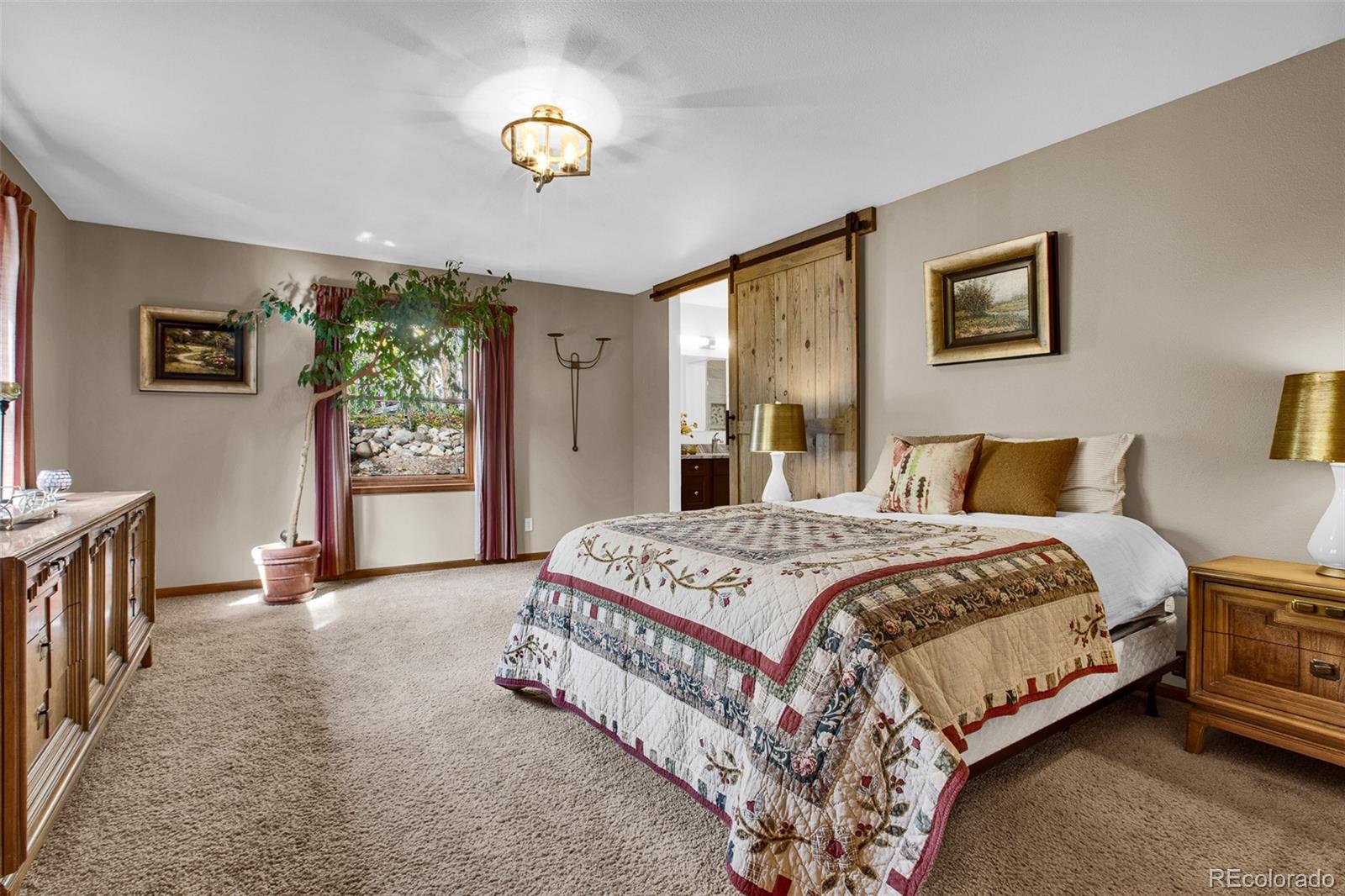 MLS Image #13 for 37  briscoe court,alma, Colorado