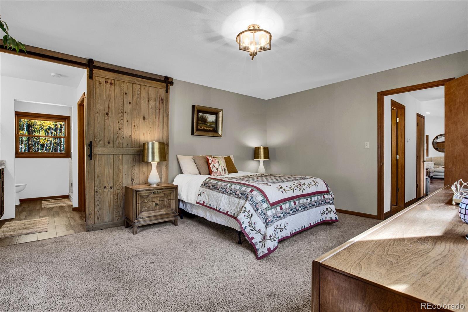 MLS Image #14 for 37  briscoe court,alma, Colorado