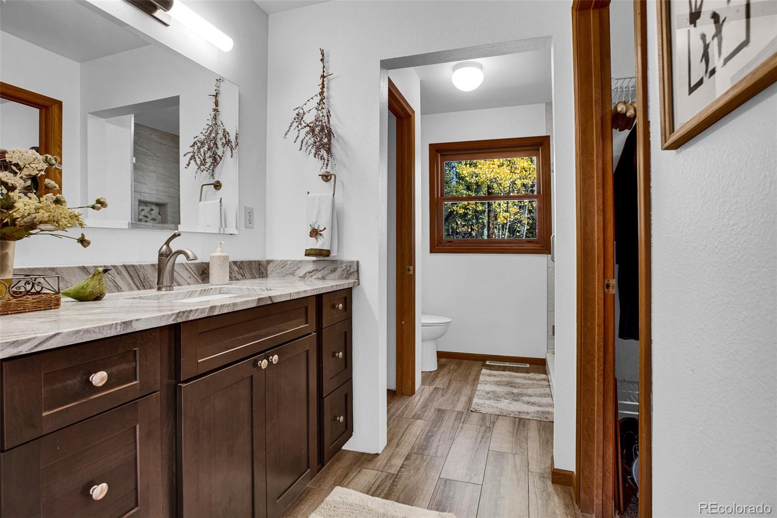 MLS Image #15 for 37  briscoe court,alma, Colorado