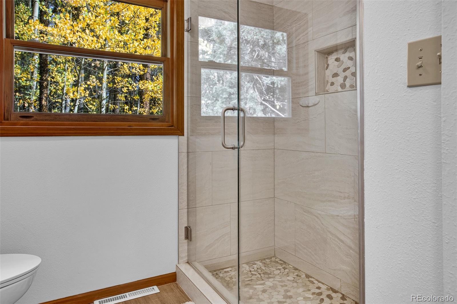 MLS Image #16 for 37  briscoe court,alma, Colorado