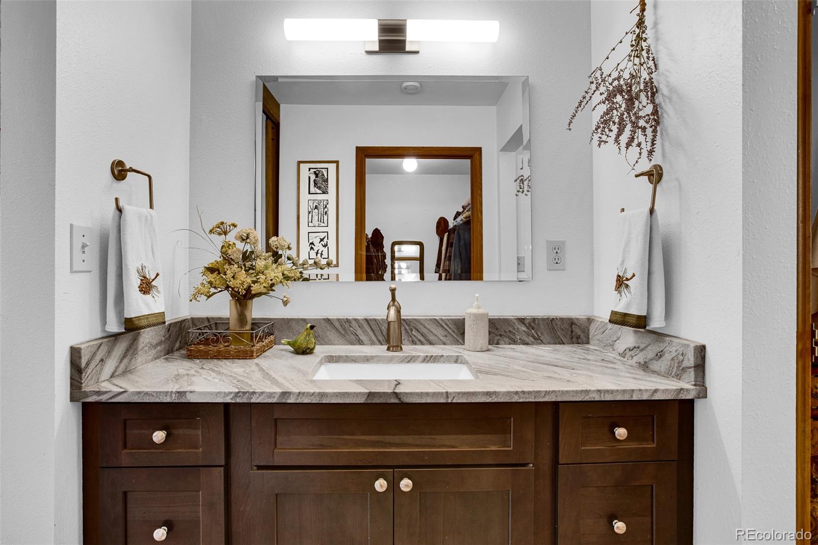MLS Image #17 for 37  briscoe court,alma, Colorado