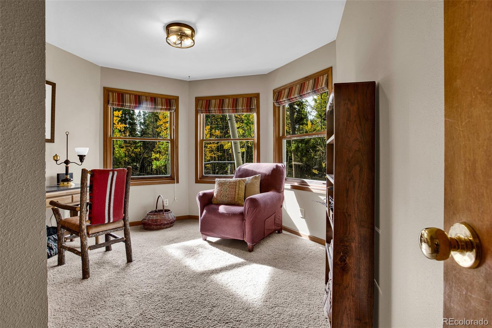 MLS Image #18 for 37  briscoe court,alma, Colorado