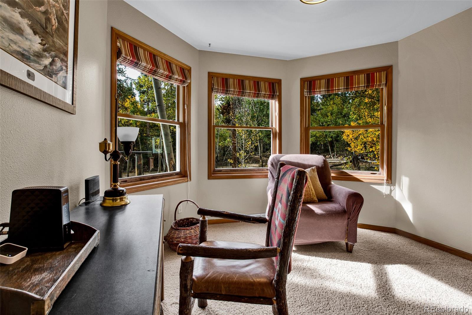 MLS Image #19 for 37  briscoe court,alma, Colorado