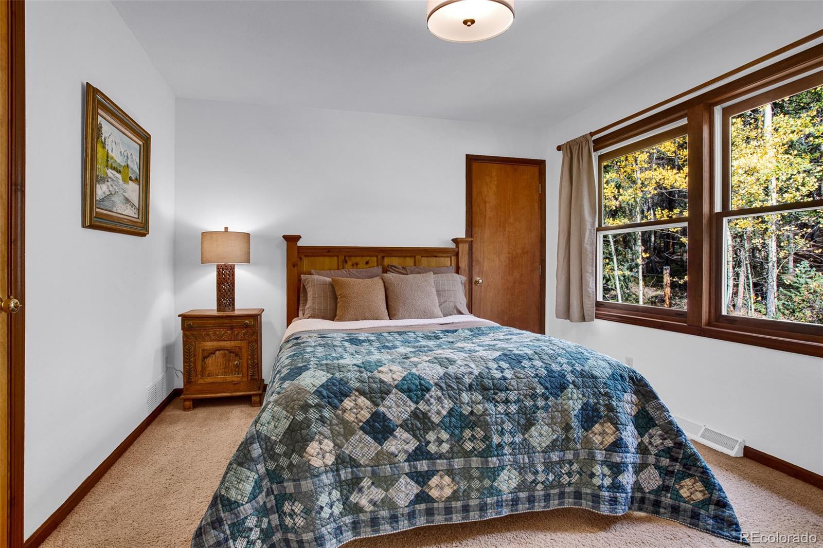 MLS Image #22 for 37  briscoe court,alma, Colorado