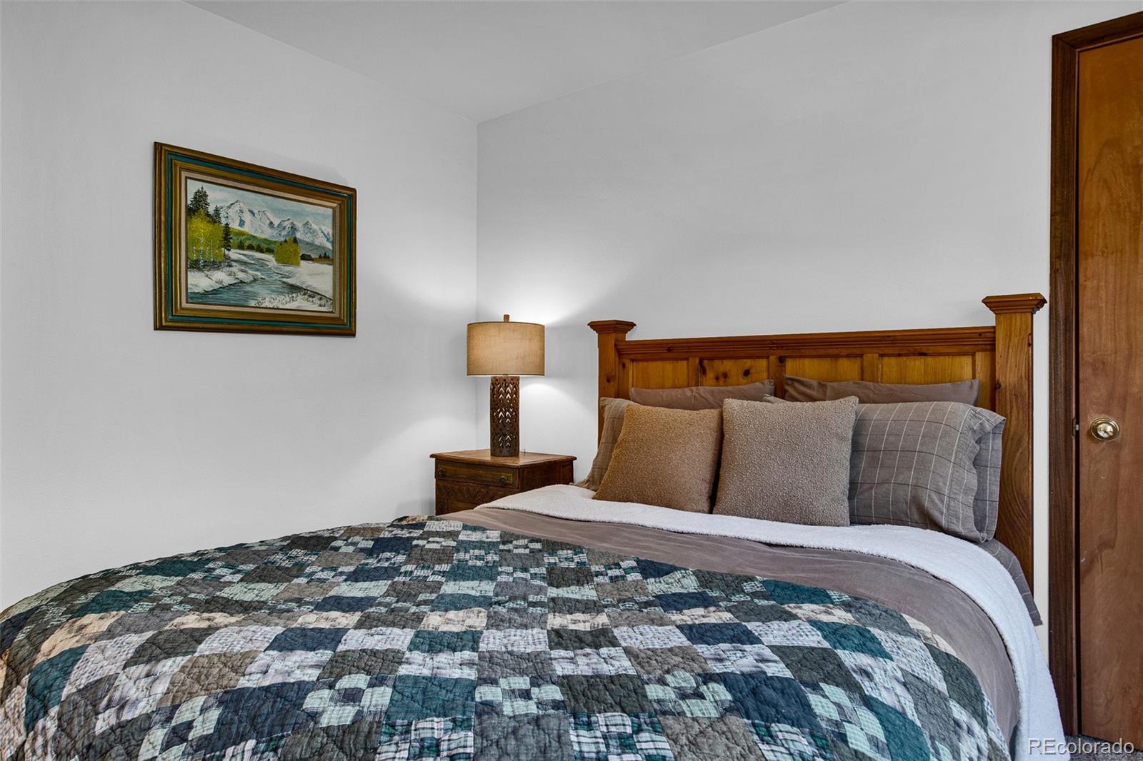 MLS Image #23 for 37  briscoe court,alma, Colorado
