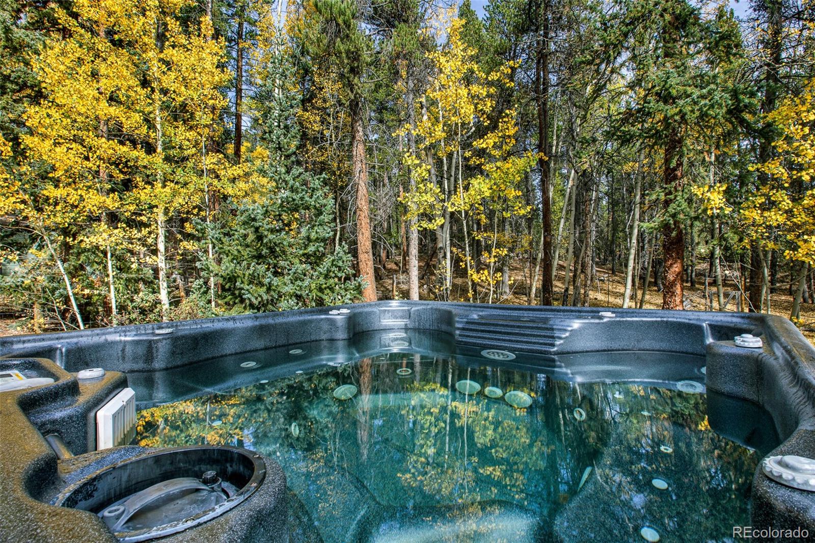 MLS Image #27 for 37  briscoe court,alma, Colorado