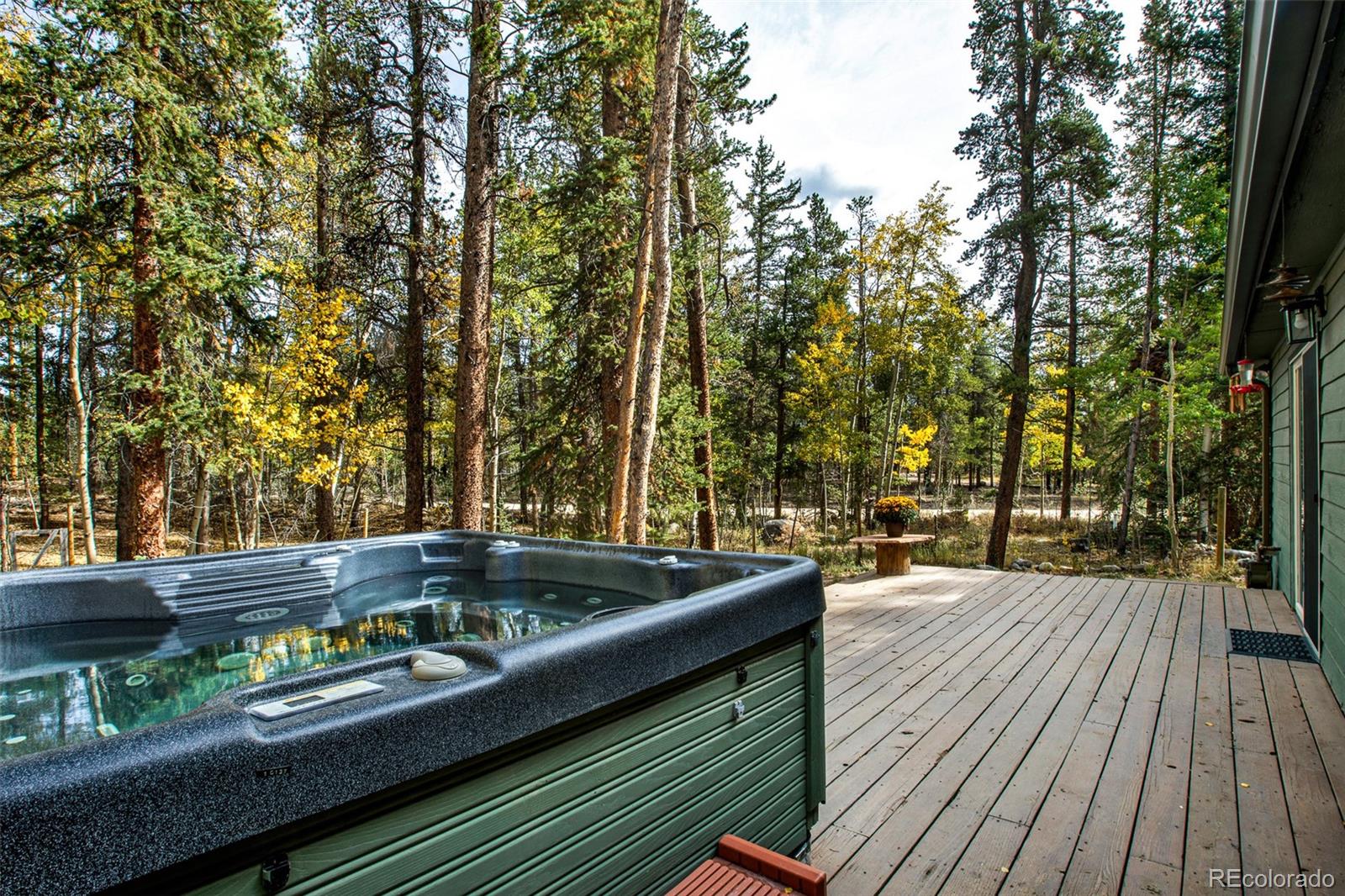 MLS Image #28 for 37  briscoe court,alma, Colorado