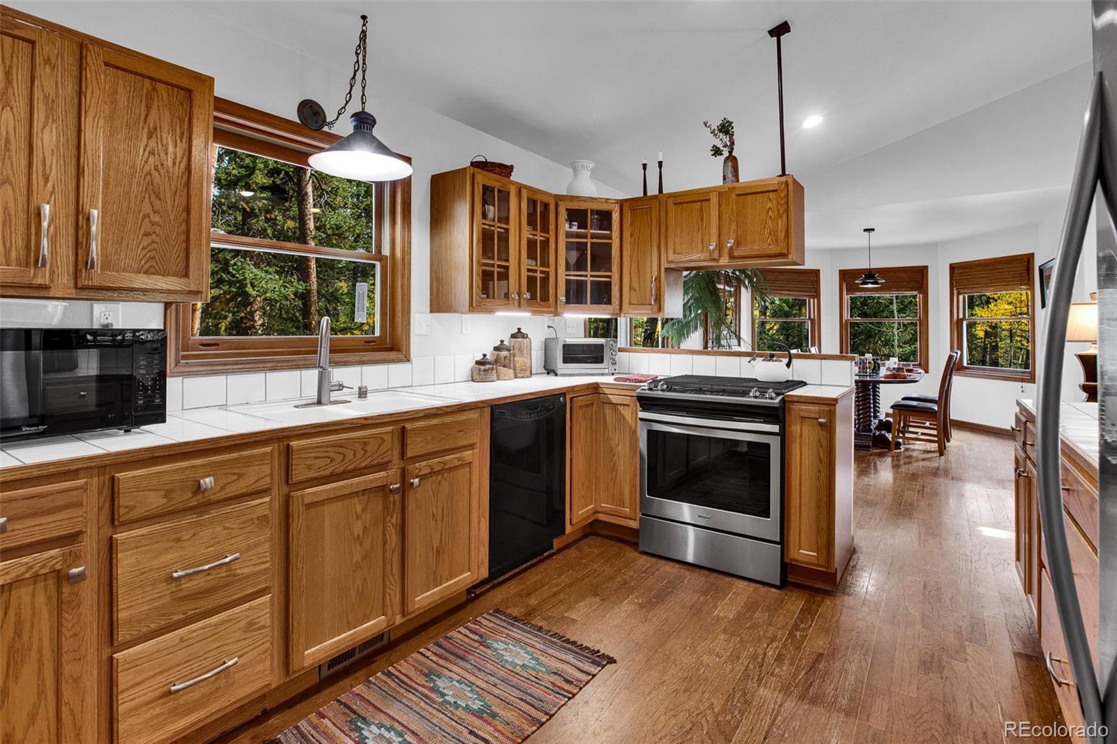 MLS Image #30 for 37  briscoe court,alma, Colorado
