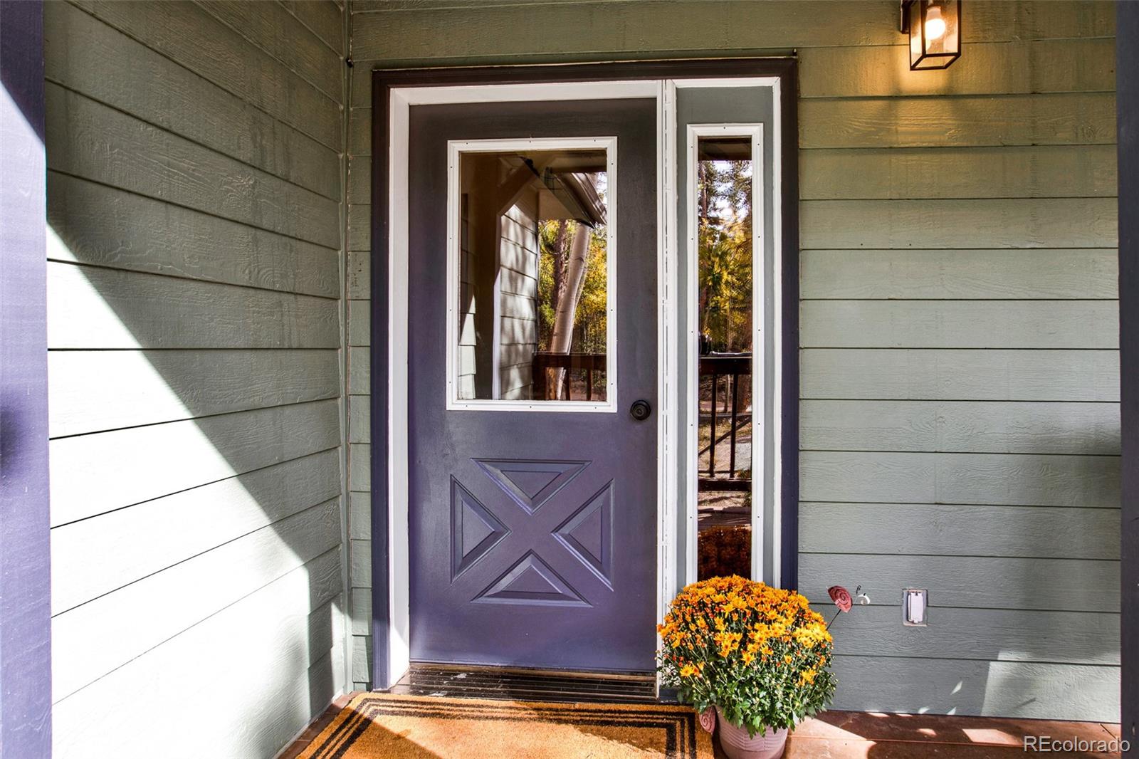 MLS Image #35 for 37  briscoe court,alma, Colorado