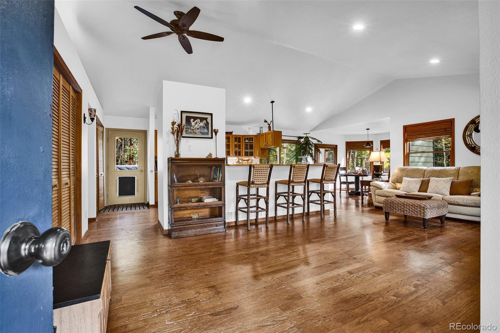 MLS Image #36 for 37  briscoe court,alma, Colorado