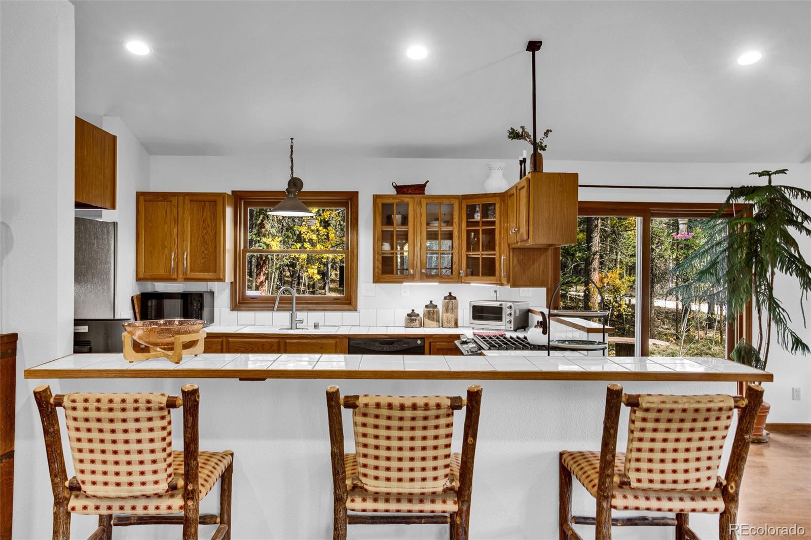 MLS Image #37 for 37  briscoe court,alma, Colorado