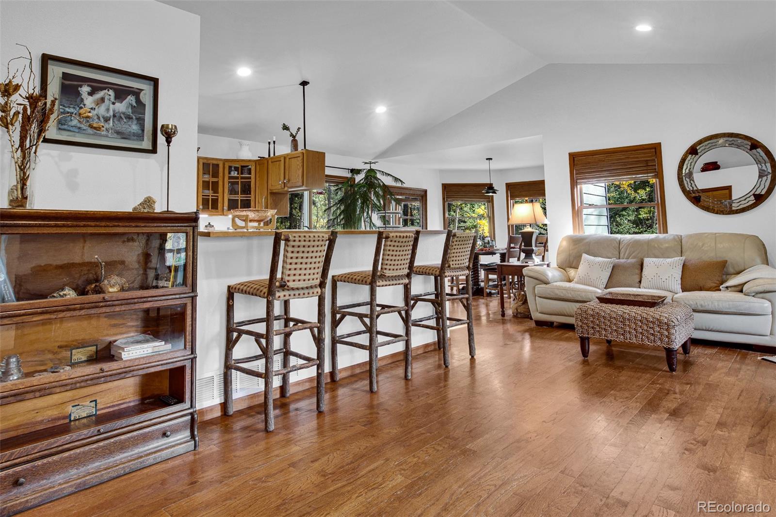 MLS Image #4 for 37  briscoe court,alma, Colorado