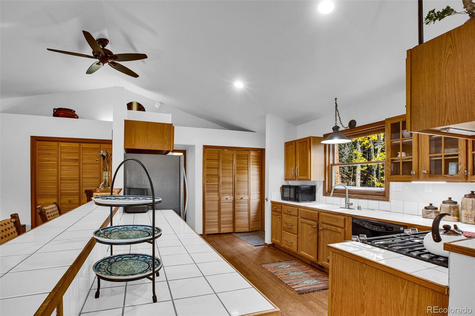 MLS Image #40 for 37  briscoe court,alma, Colorado