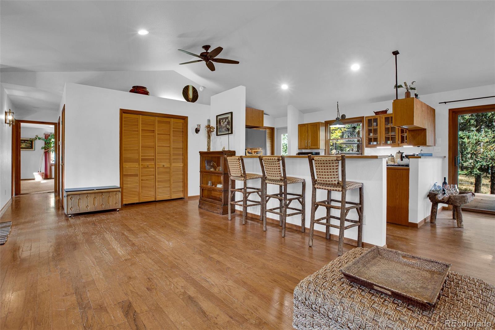 MLS Image #42 for 37  briscoe court,alma, Colorado
