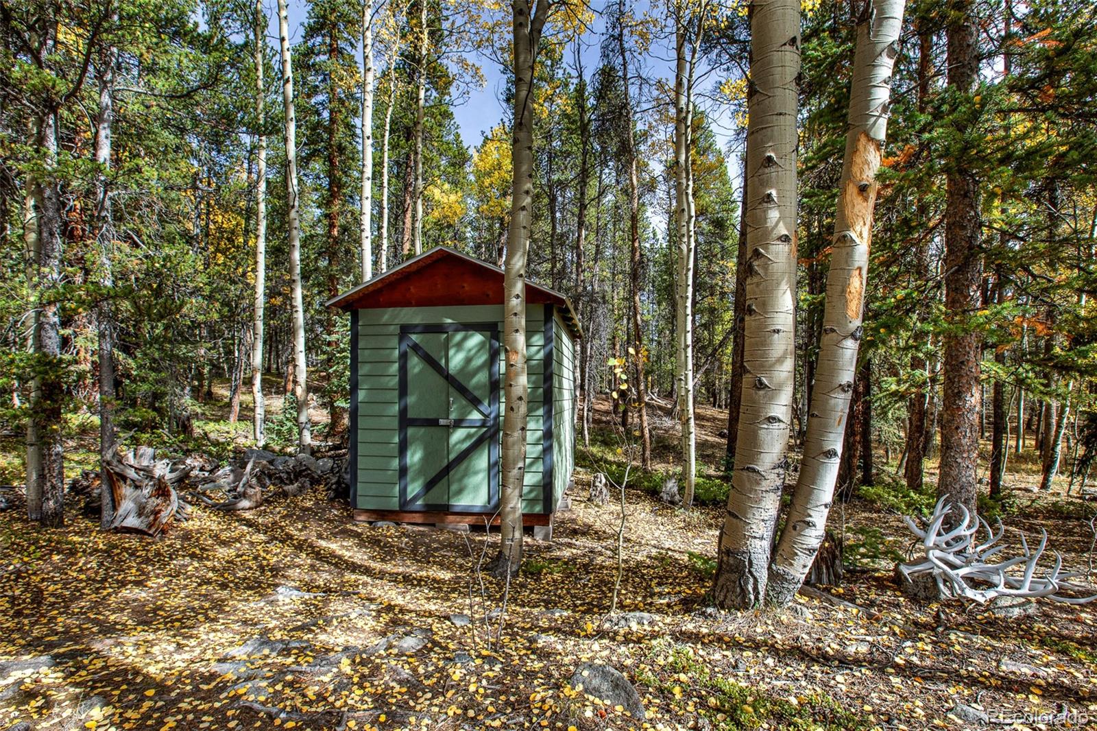 MLS Image #46 for 37  briscoe court,alma, Colorado