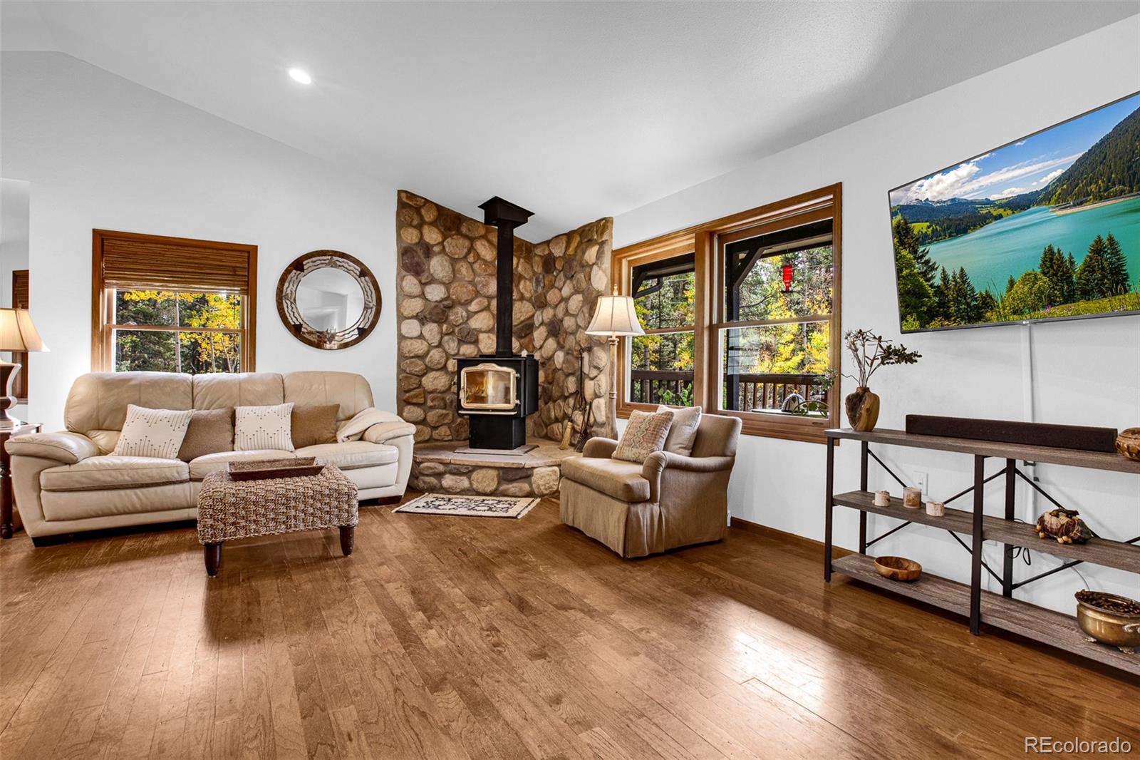 MLS Image #5 for 37  briscoe court,alma, Colorado