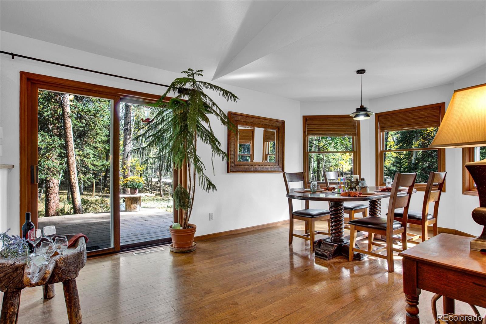 MLS Image #7 for 37  briscoe court,alma, Colorado