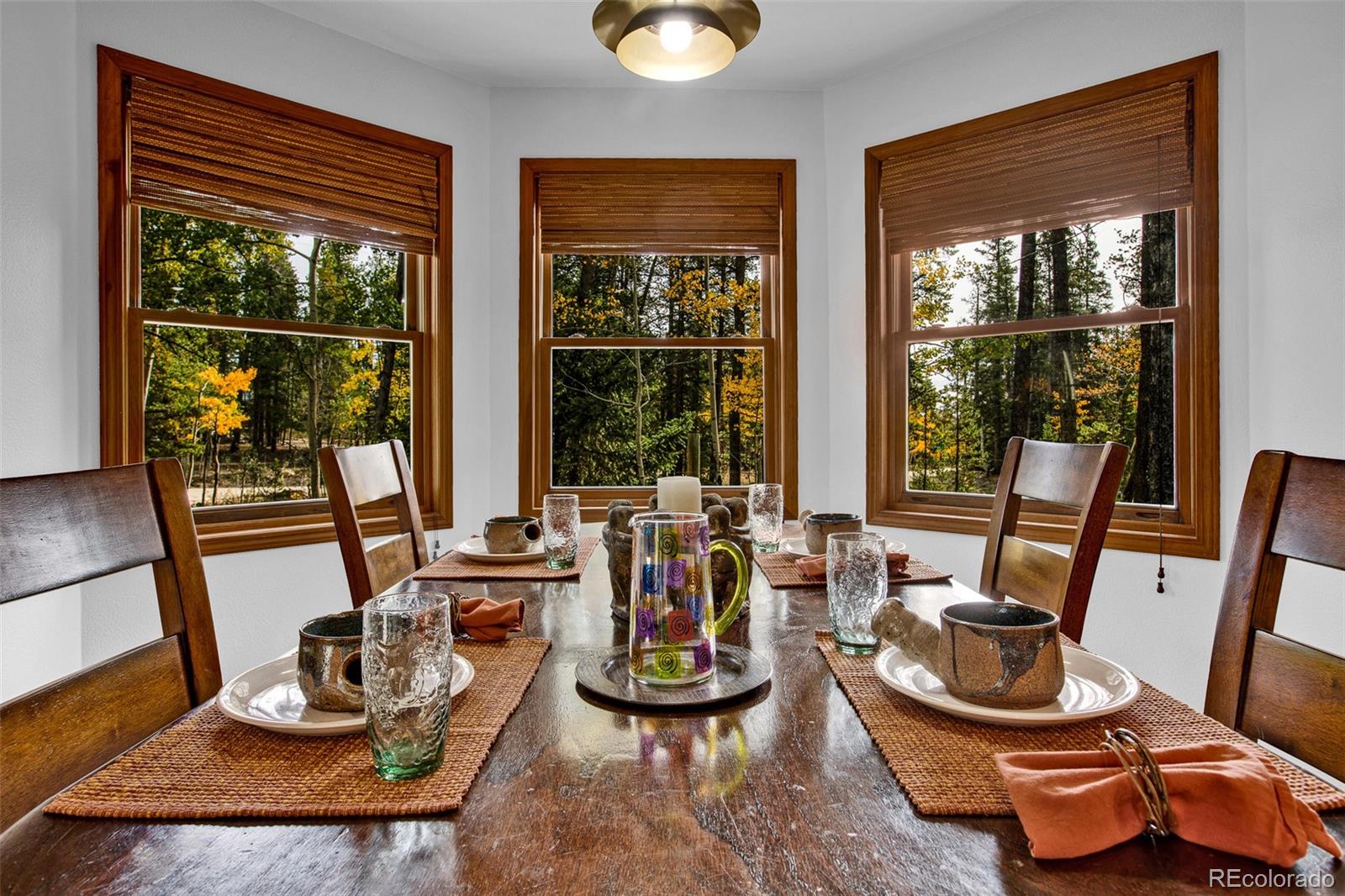 MLS Image #8 for 37  briscoe court,alma, Colorado