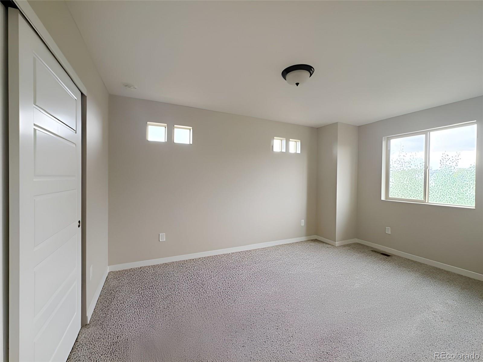 MLS Image #17 for 3112  jonquil street,castle rock, Colorado