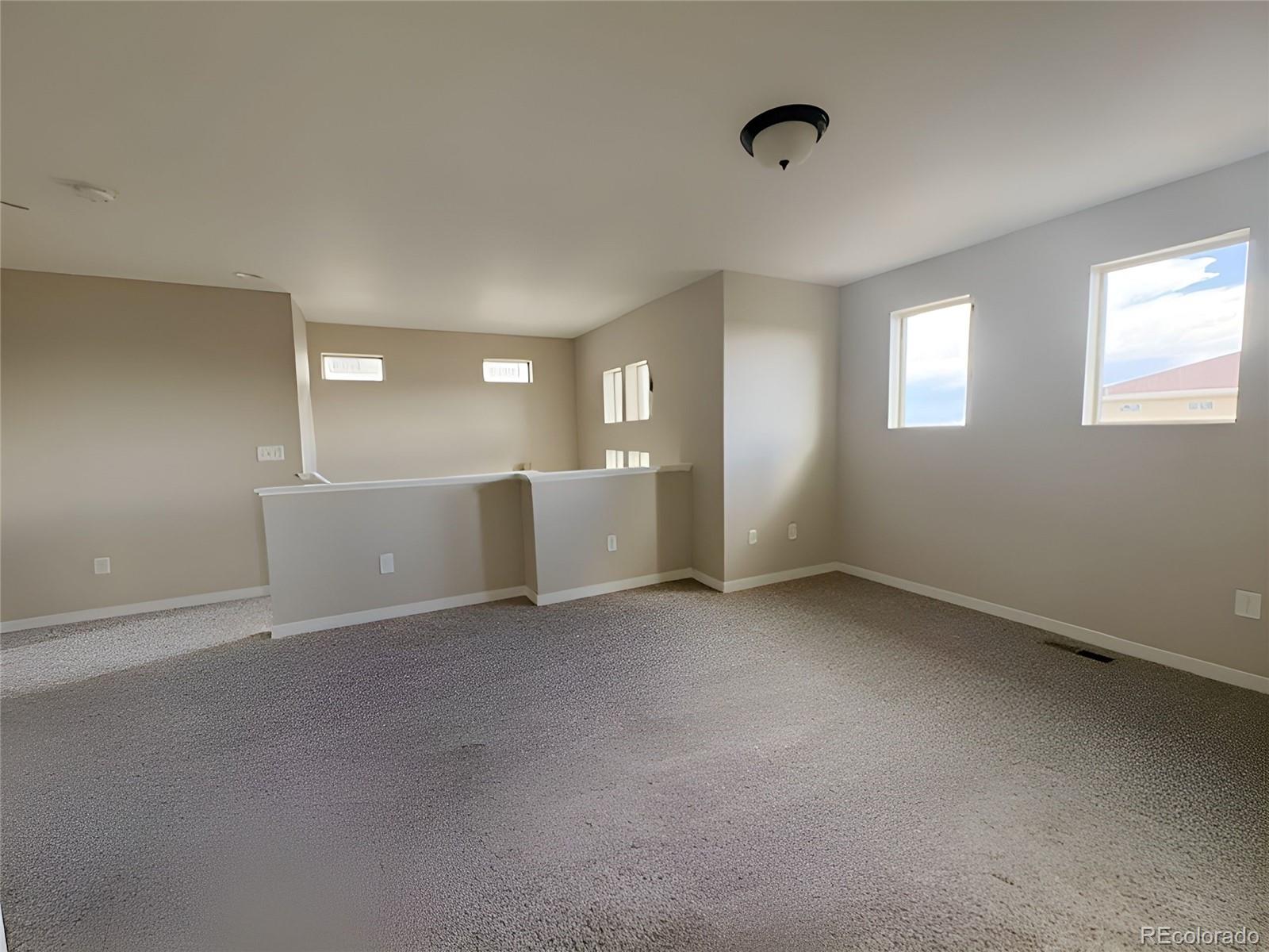 MLS Image #19 for 3112  jonquil street,castle rock, Colorado