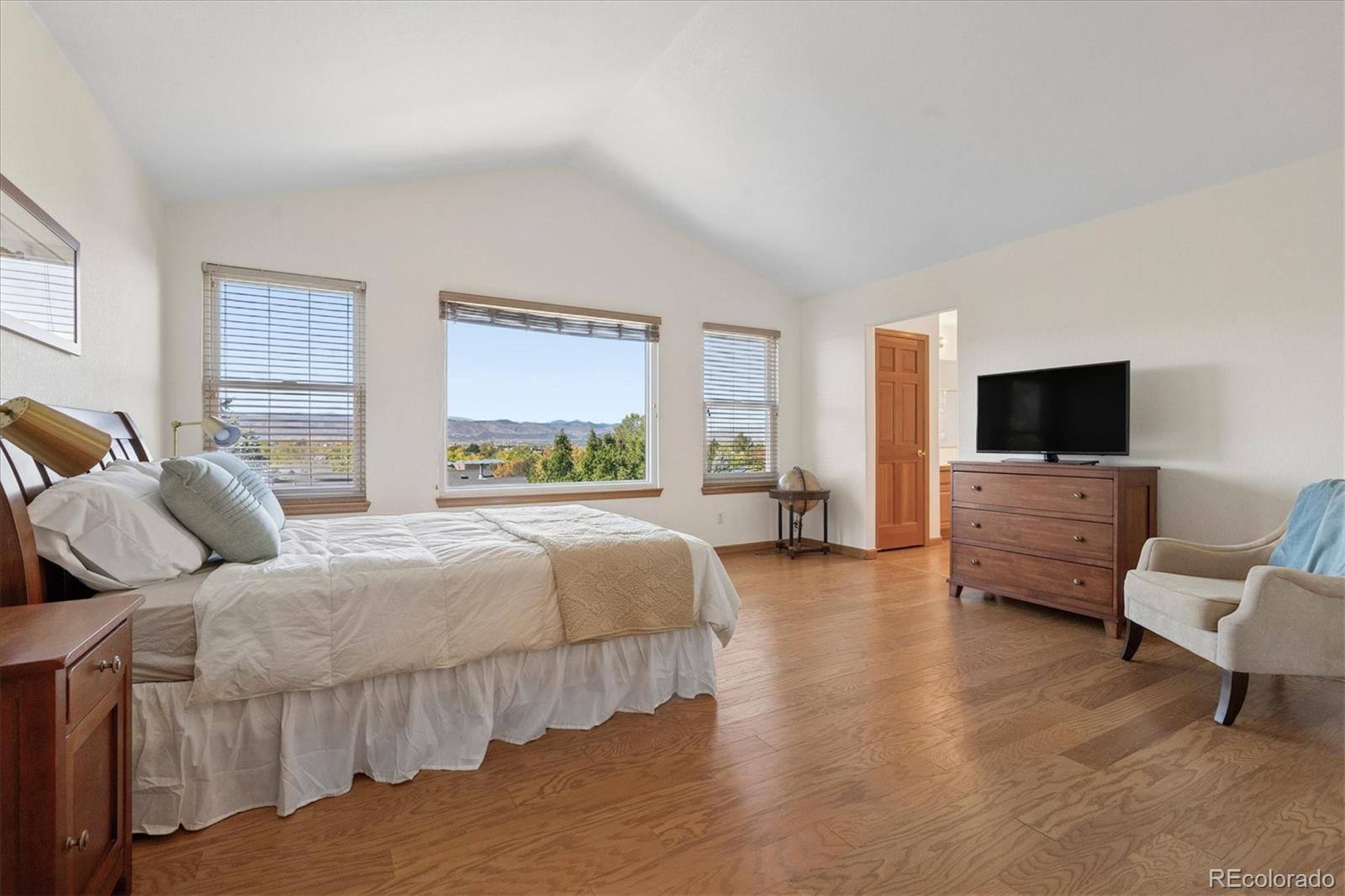 MLS Image #17 for 503  winterthur way,highlands ranch, Colorado