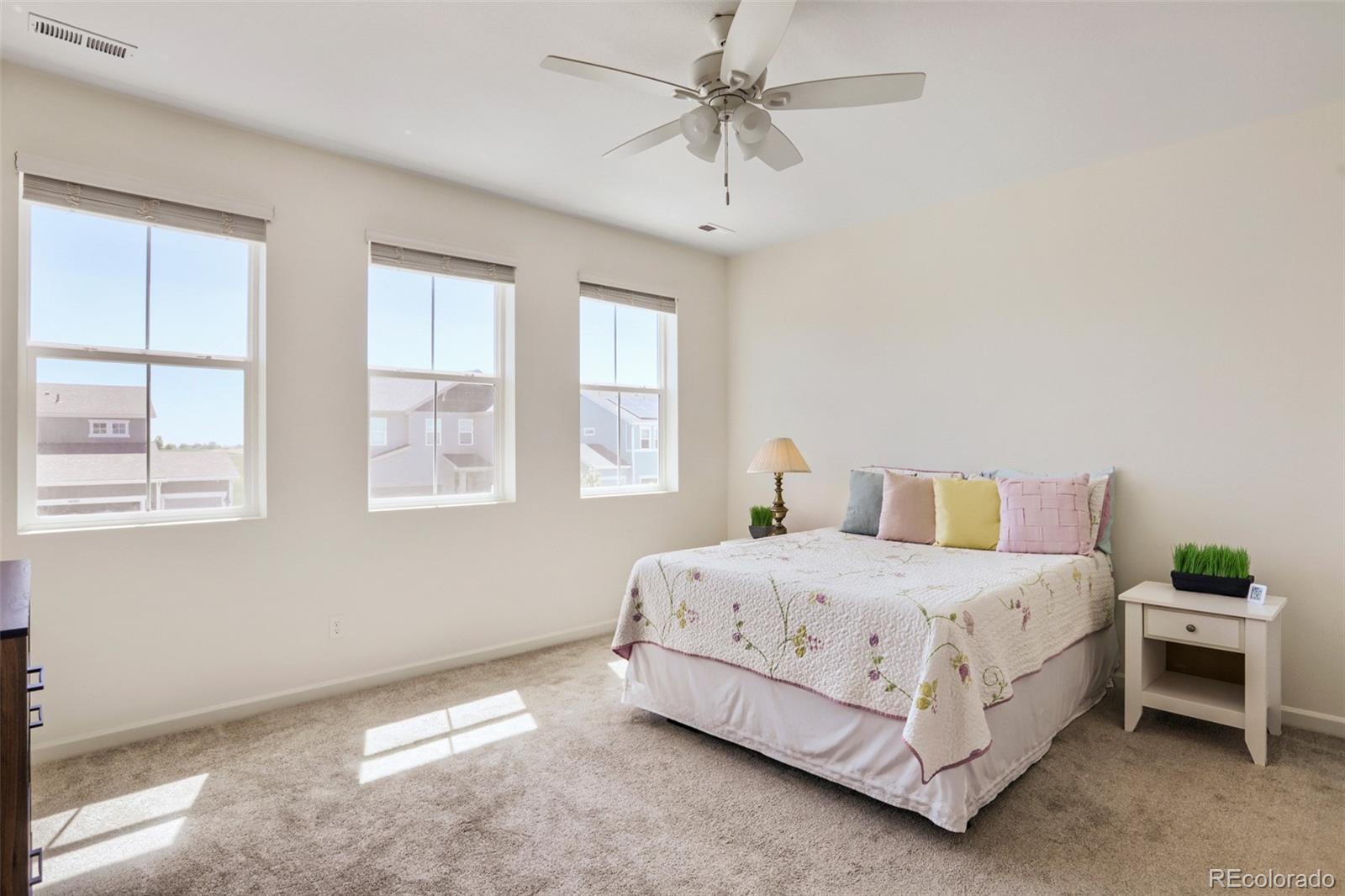 MLS Image #13 for 14583  normande drive,mead, Colorado