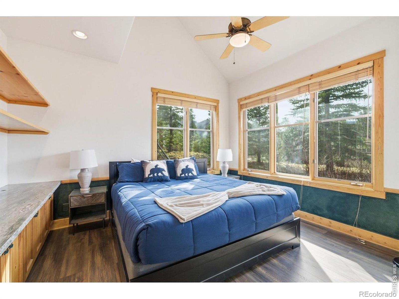 MLS Image #19 for 590  water dance drive,frisco, Colorado