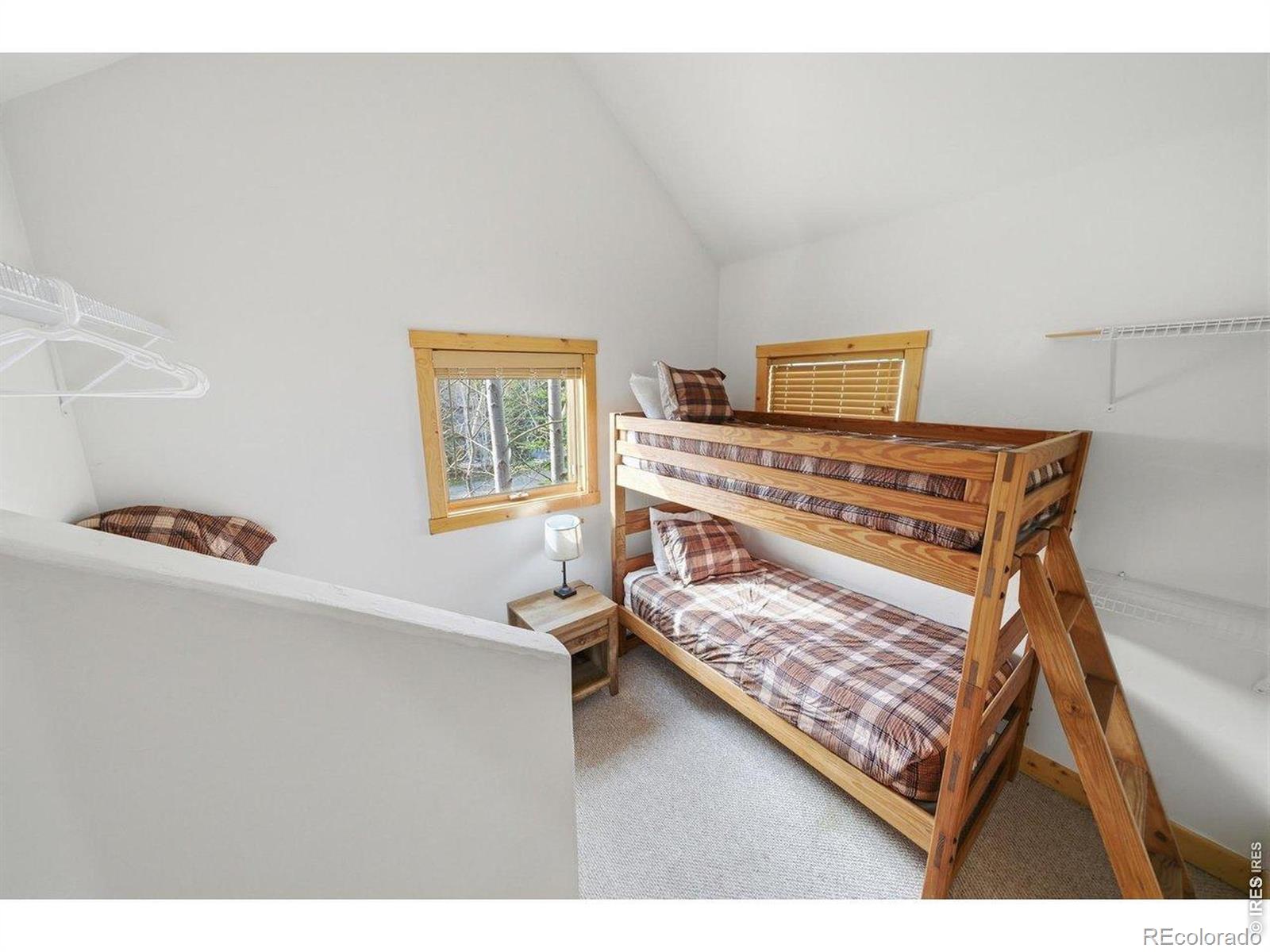 MLS Image #30 for 590  water dance drive,frisco, Colorado