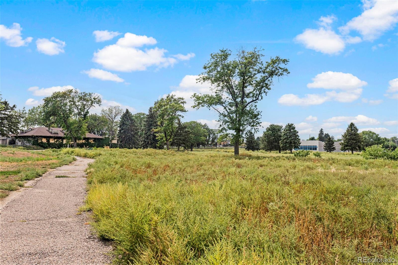 MLS Image #37 for 3790  elm street,denver, Colorado