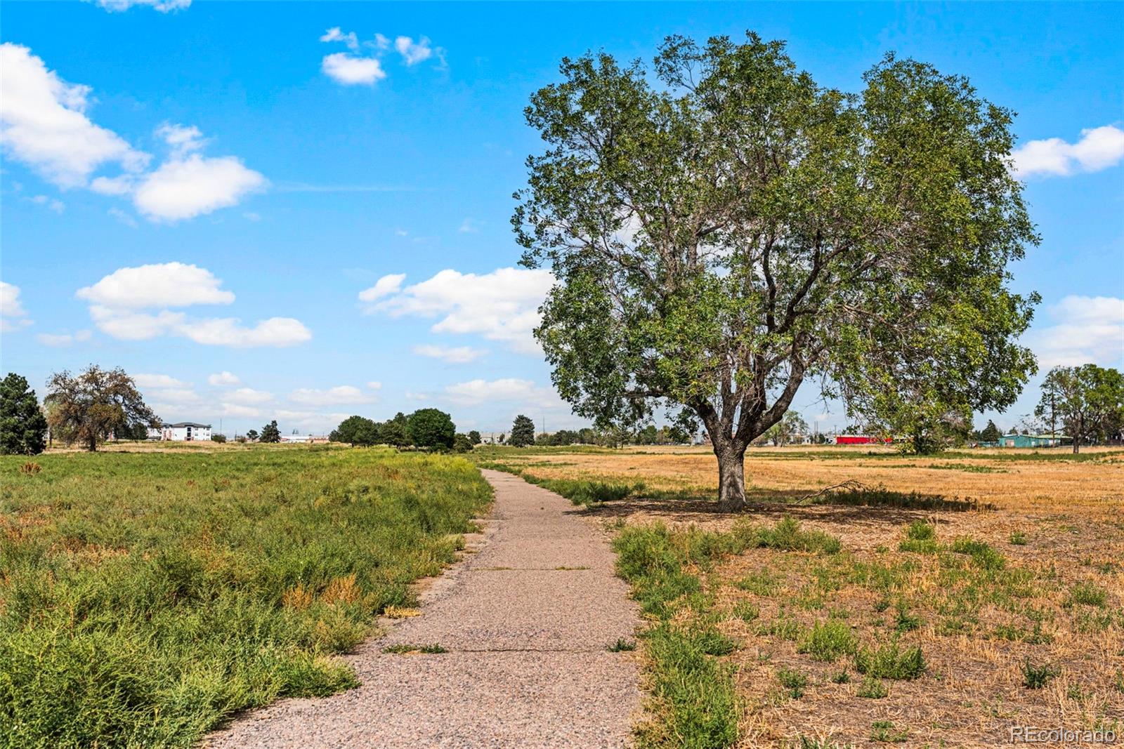 MLS Image #38 for 3790  elm street,denver, Colorado