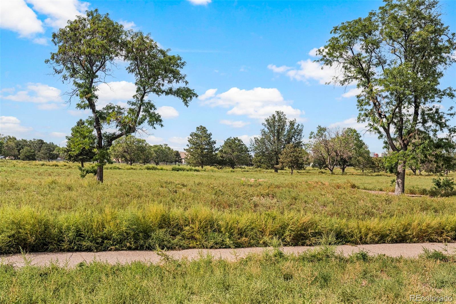 MLS Image #39 for 3790  elm street,denver, Colorado