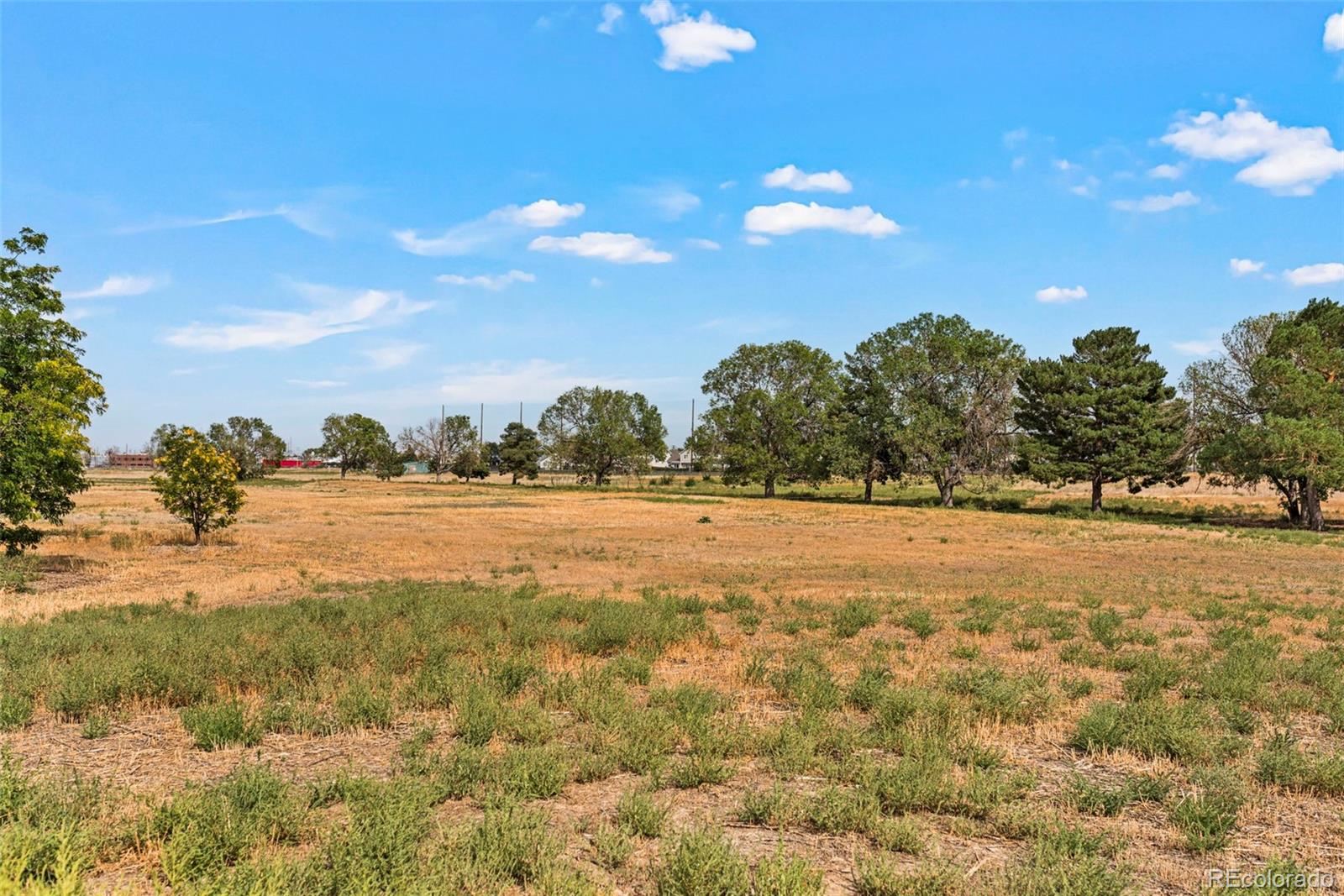 MLS Image #40 for 3790  elm street,denver, Colorado