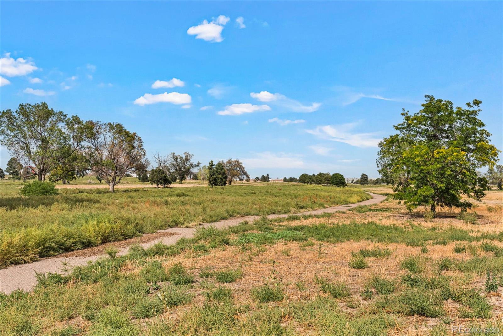 MLS Image #41 for 3790  elm street,denver, Colorado