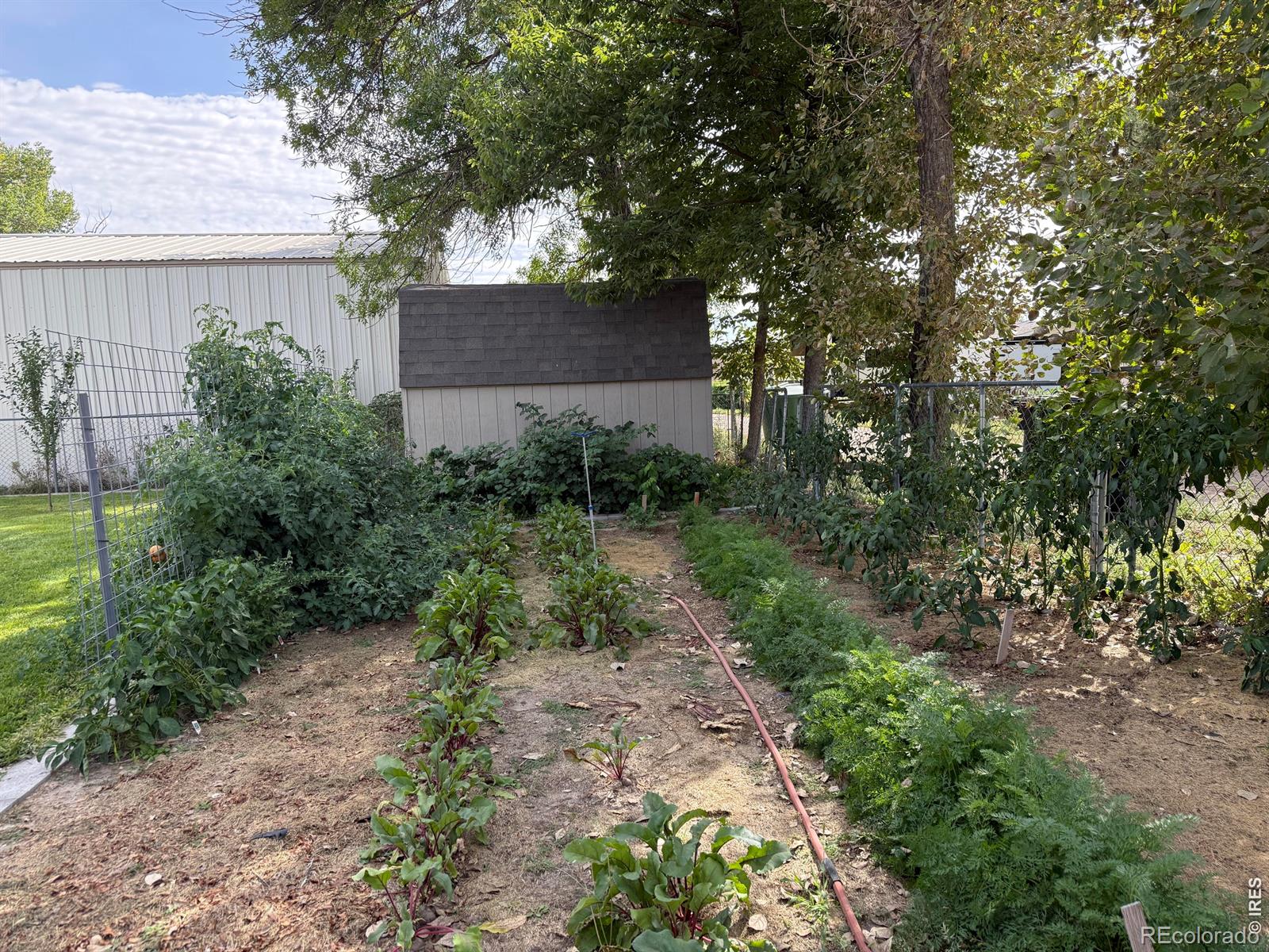 MLS Image #29 for 120 s hickory street,yuma, Colorado