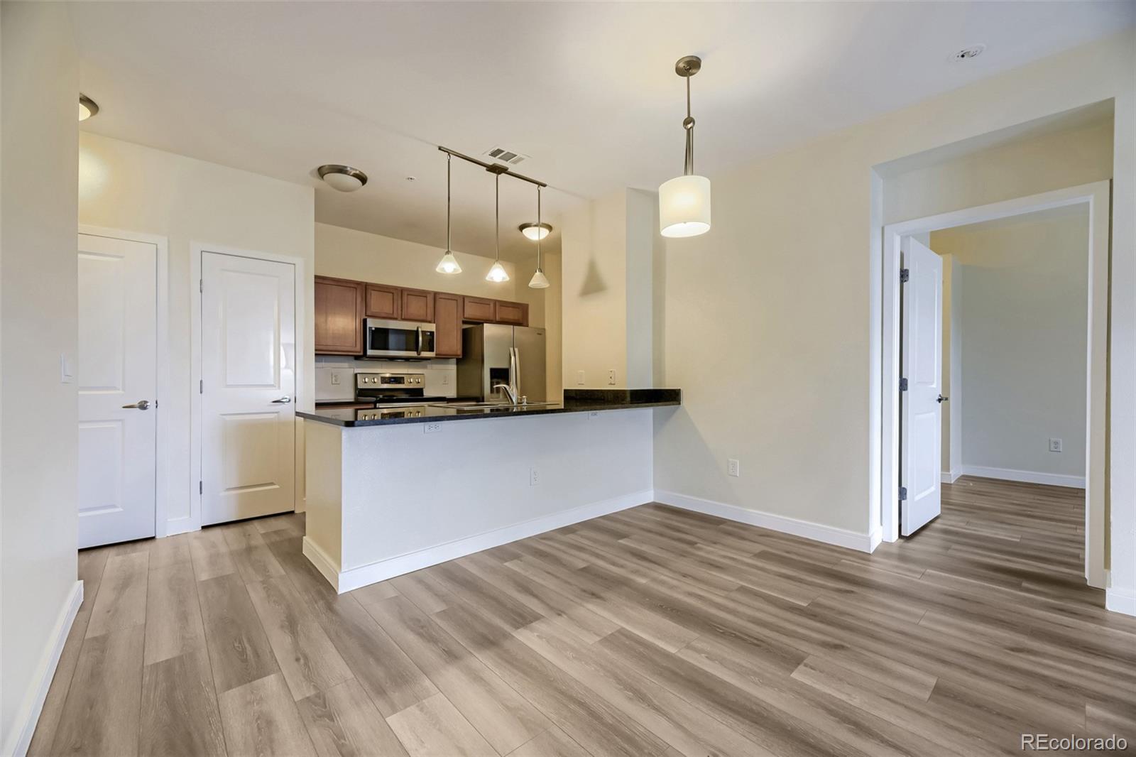 MLS Image #6 for 4100  albion street 311,denver, Colorado