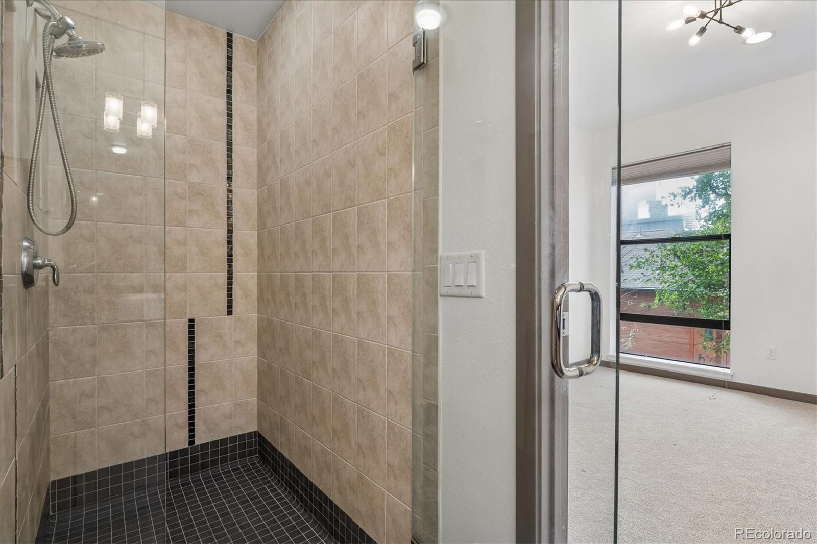 MLS Image #12 for 2347  glenarm place ,denver, Colorado