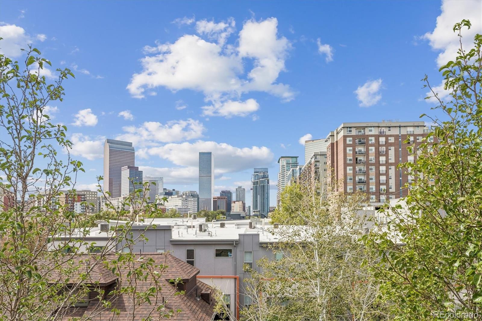 MLS Image #17 for 2347  glenarm place ,denver, Colorado