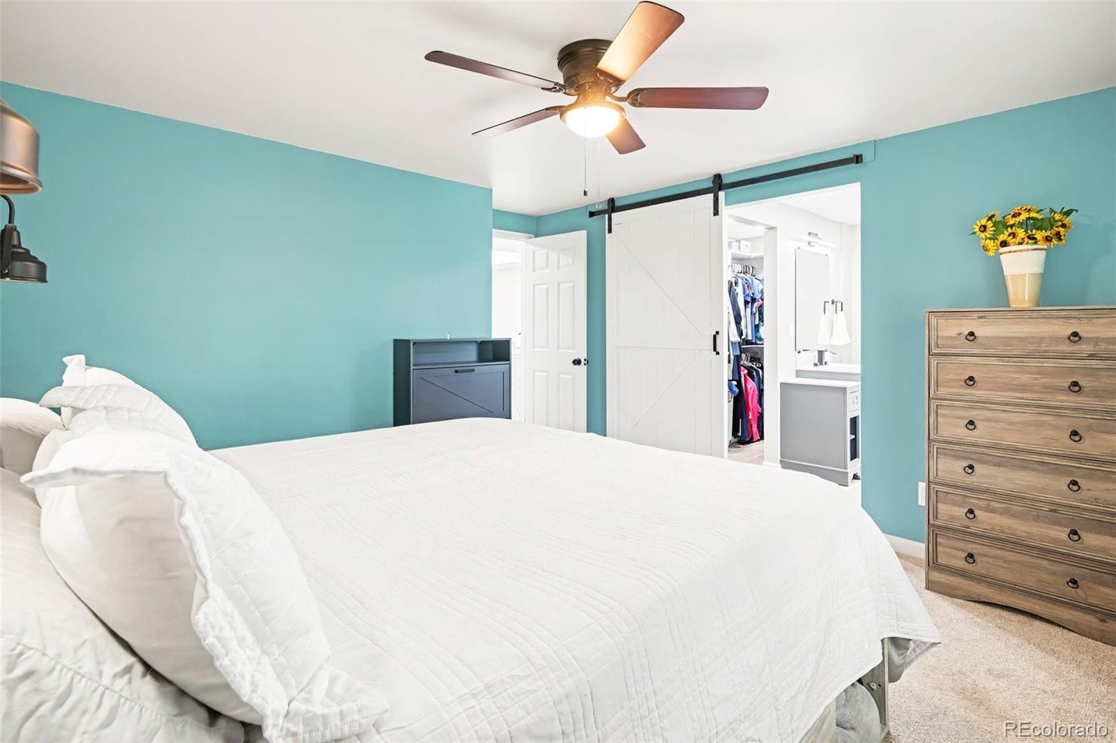 MLS Image #10 for 5253 s jellison street ,littleton, Colorado