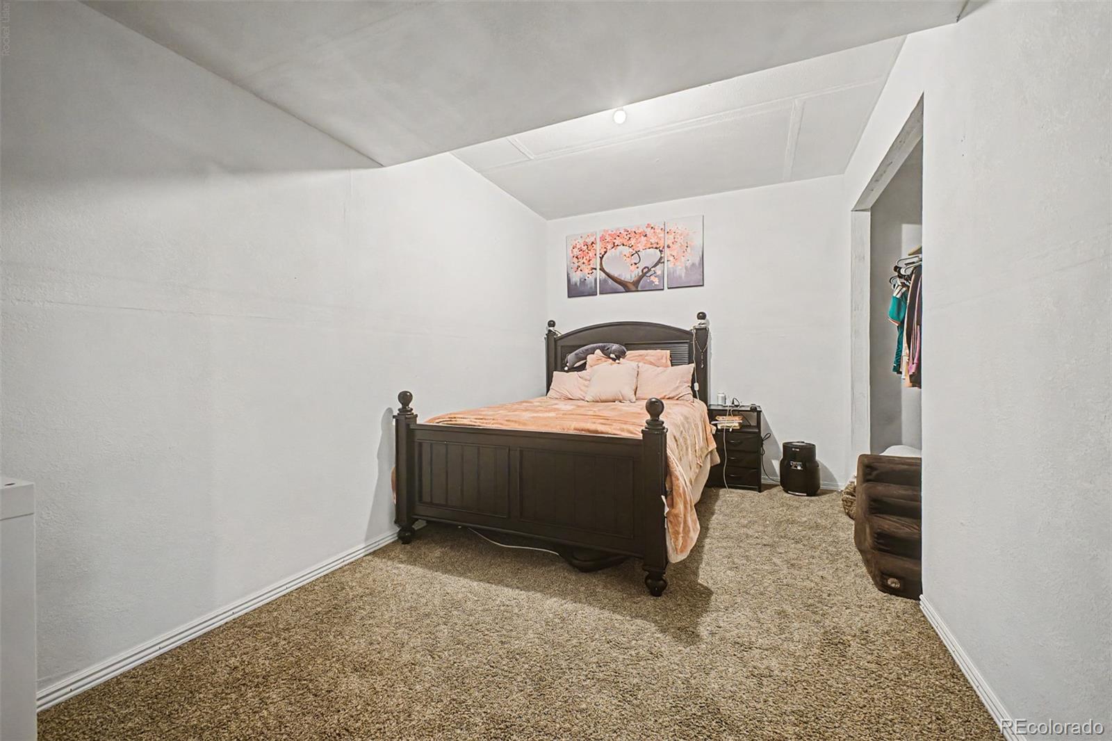 MLS Image #14 for 5543  hannibal court,denver, Colorado