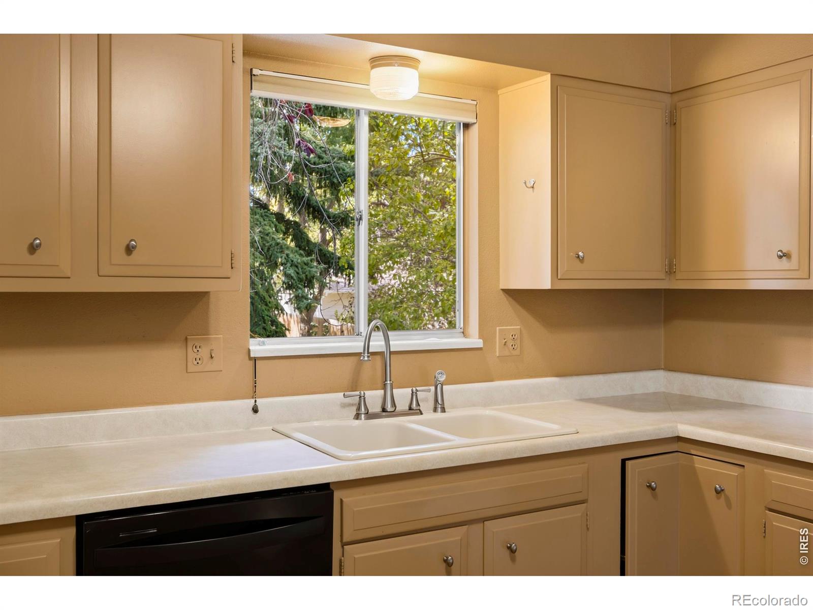 MLS Image #13 for 2909  ringneck drive,fort collins, Colorado