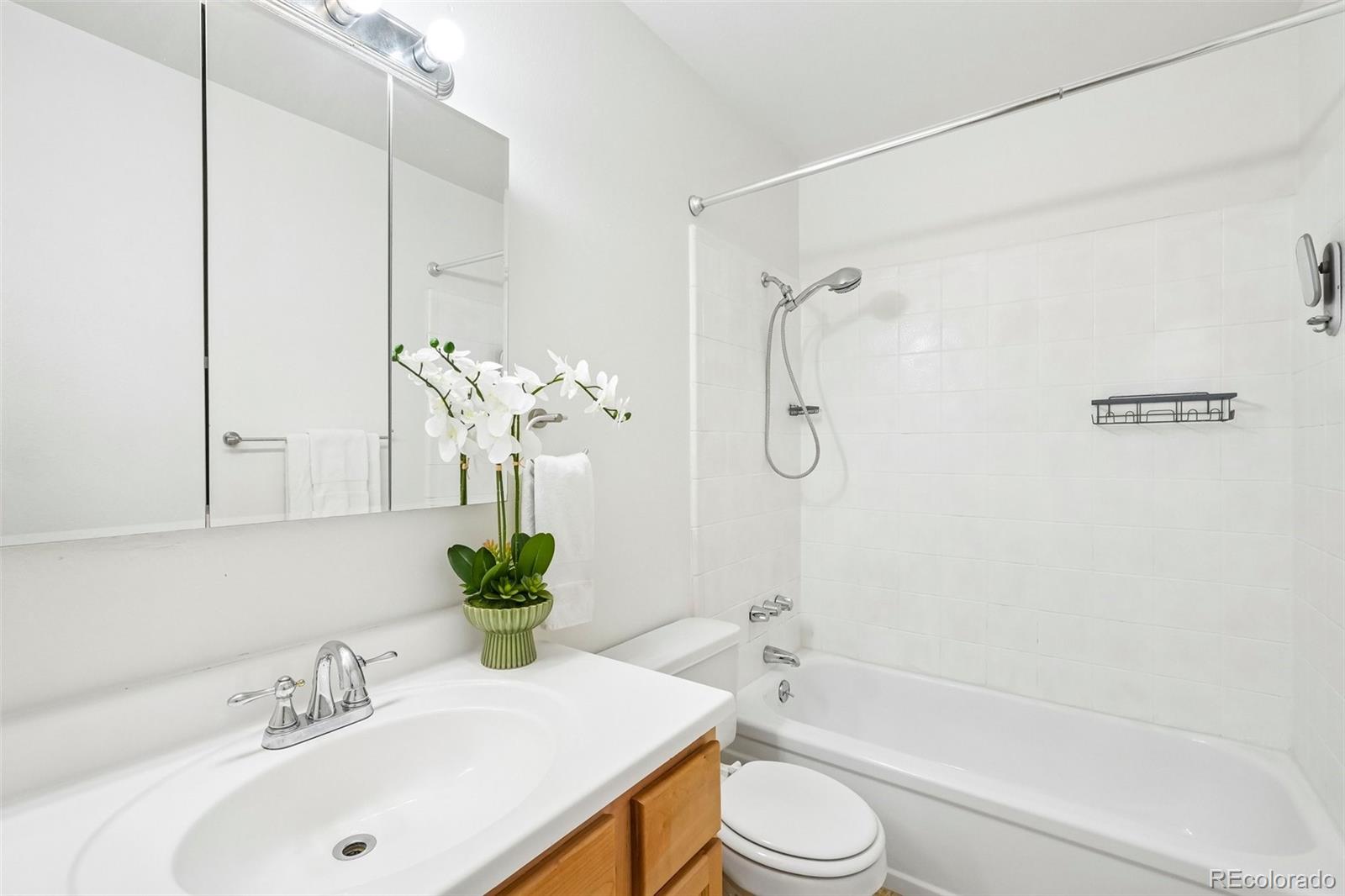 MLS Image #15 for 5835 s lowell boulevard,littleton, Colorado
