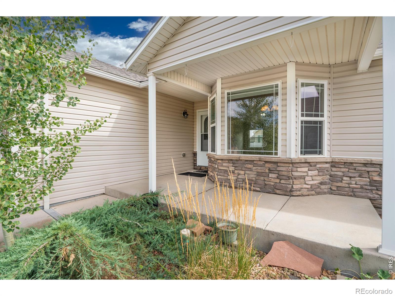 MLS Image #2 for 6974  mcclellan road,wellington, Colorado