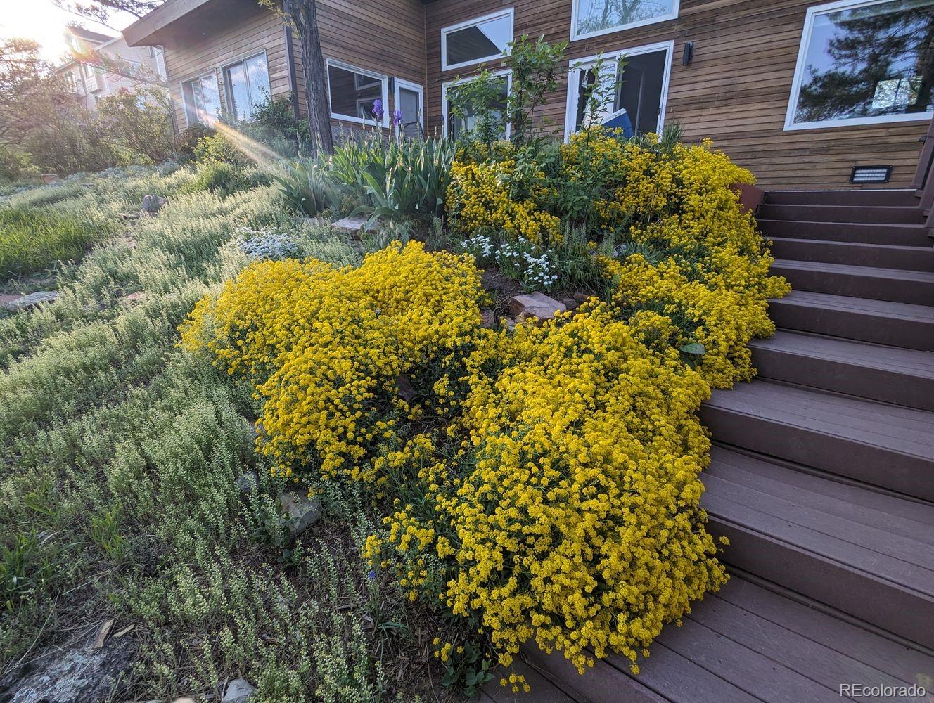 MLS Image #47 for 6967  fairways drive,longmont, Colorado
