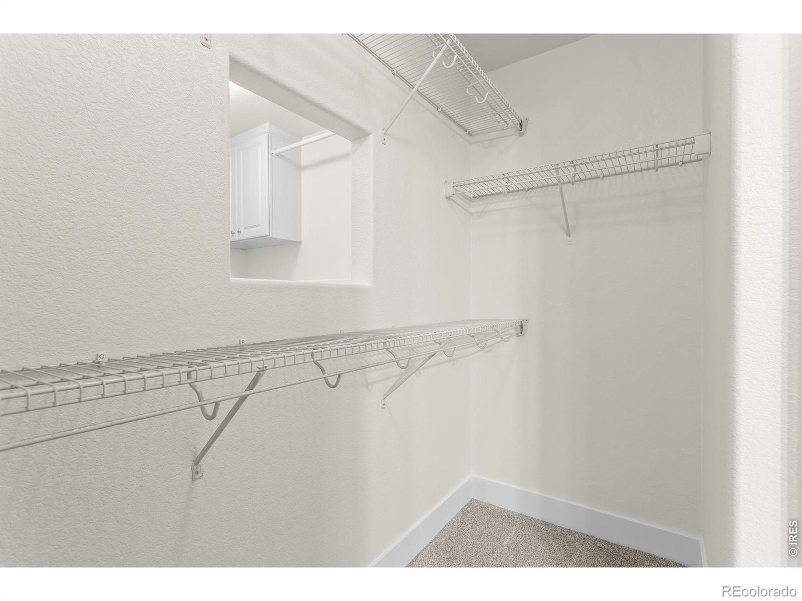 MLS Image #24 for 3393  janus drive,loveland, Colorado