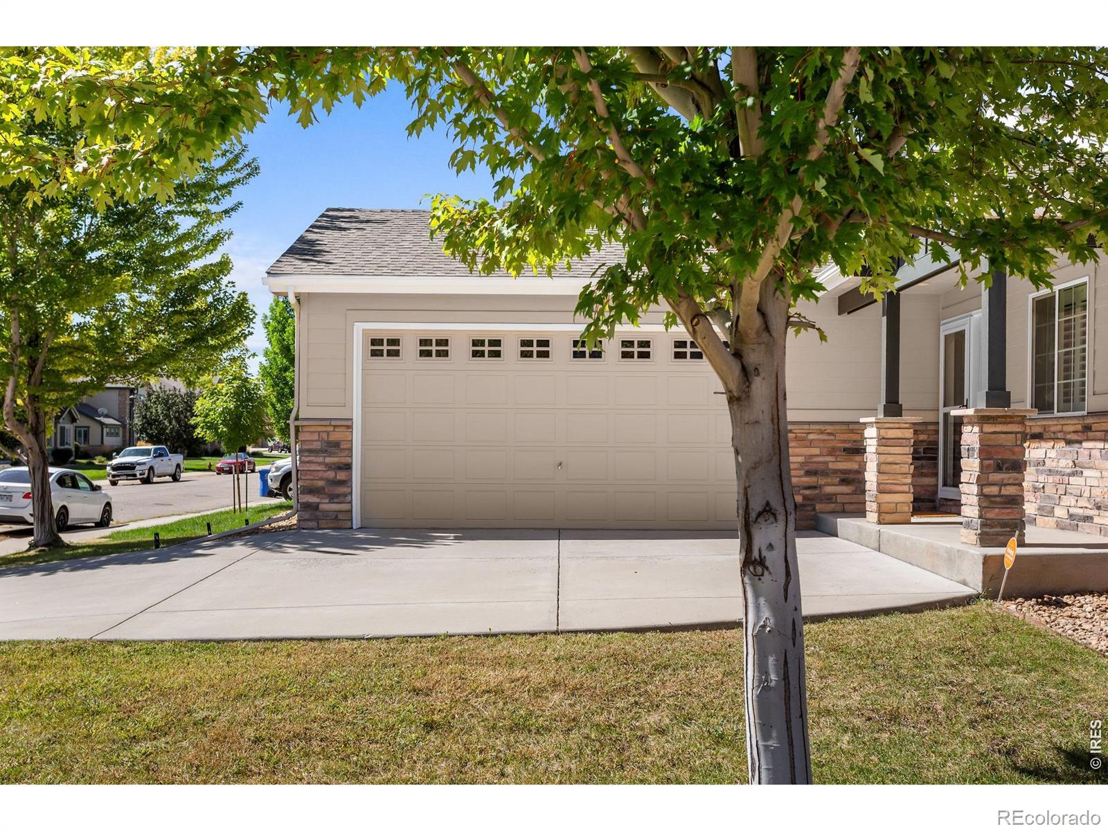 MLS Image #3 for 3393  janus drive,loveland, Colorado