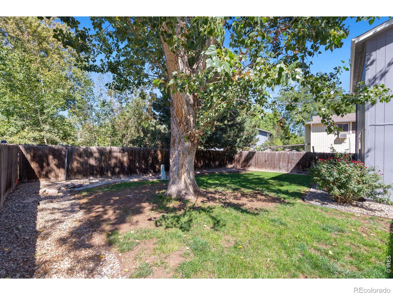 MLS Image #18 for 3301  dunbar avenue,fort collins, Colorado