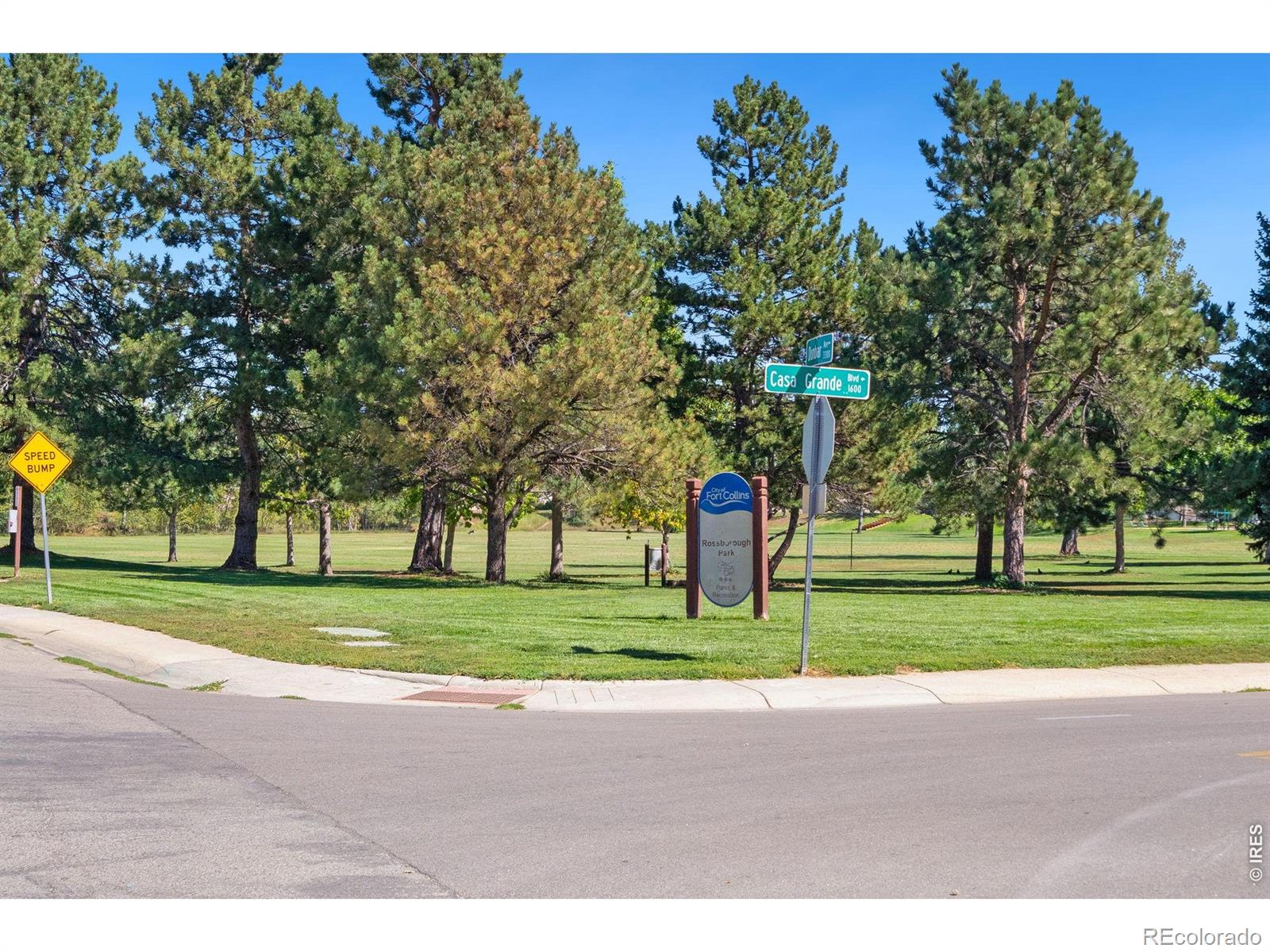 MLS Image #19 for 3301  dunbar avenue,fort collins, Colorado
