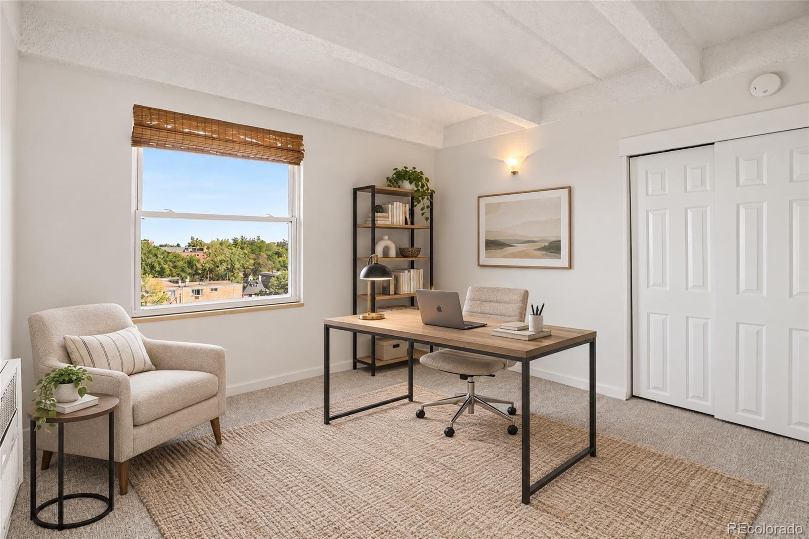 MLS Image #18 for 1265  race street,denver, Colorado