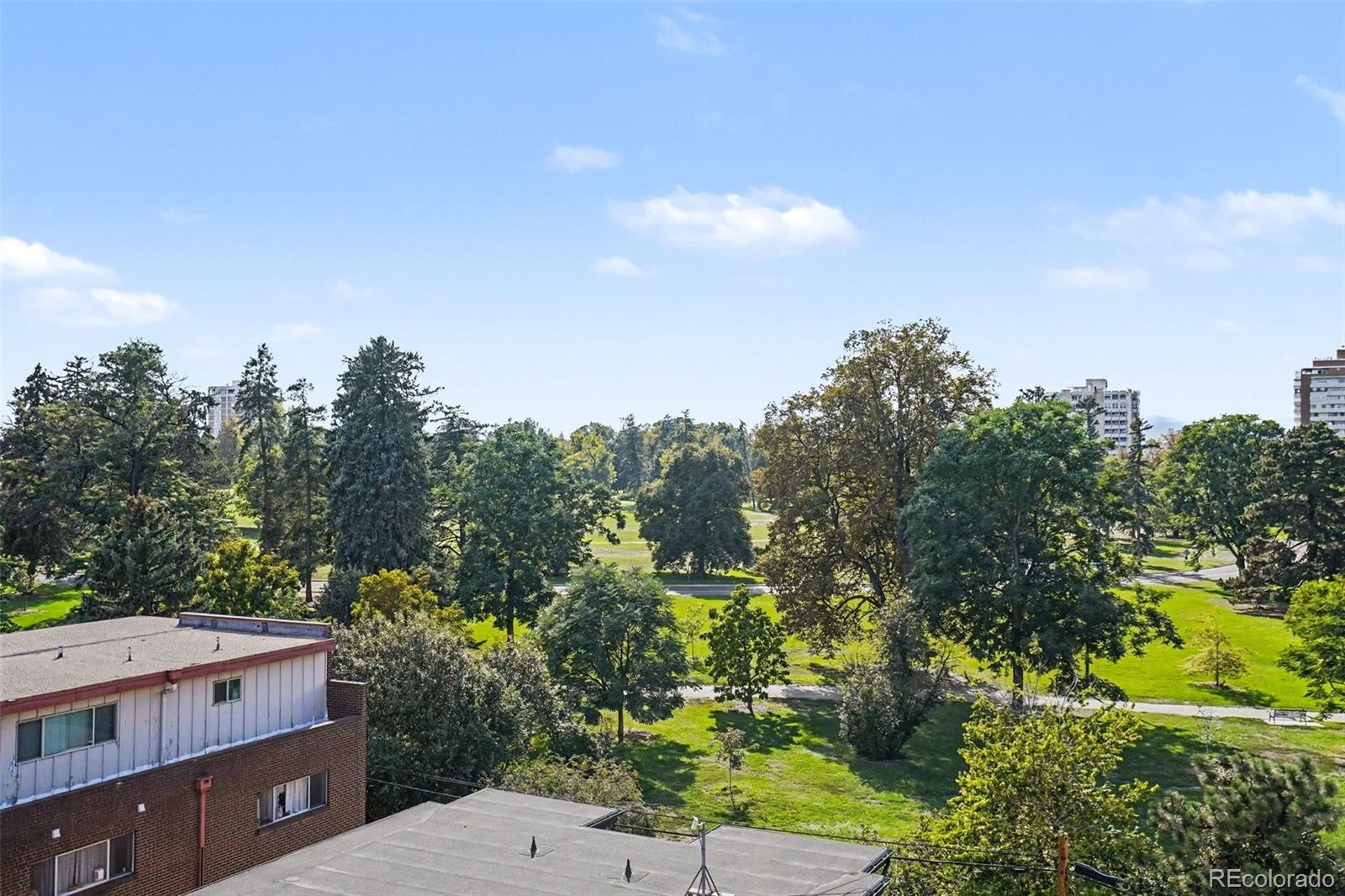 MLS Image #27 for 1265  race street,denver, Colorado