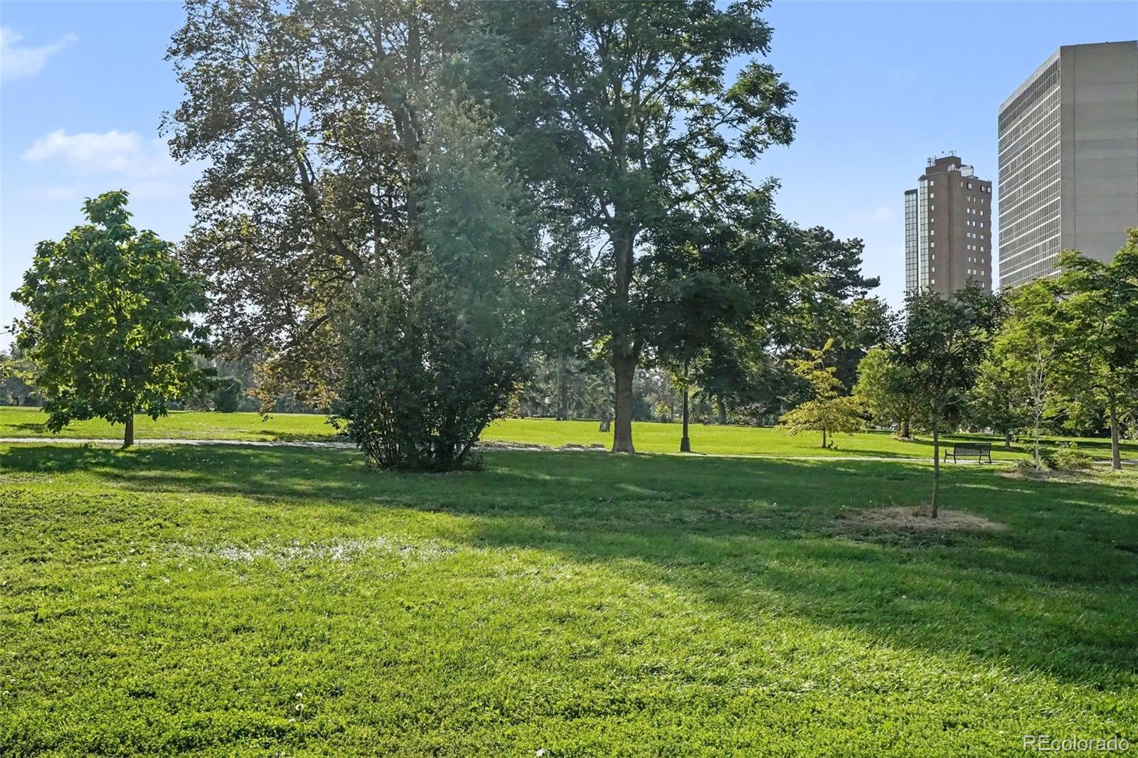 MLS Image #28 for 1265  race street,denver, Colorado